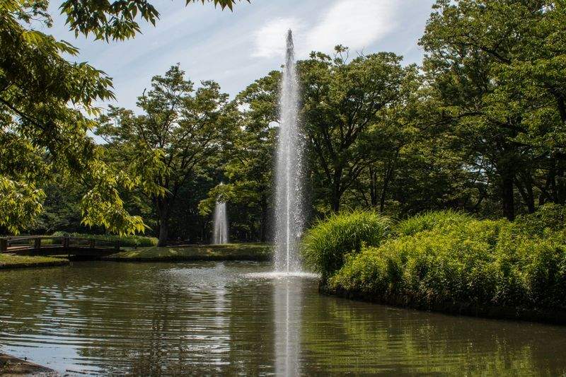 緑のオアシス株式会社 - Image 2