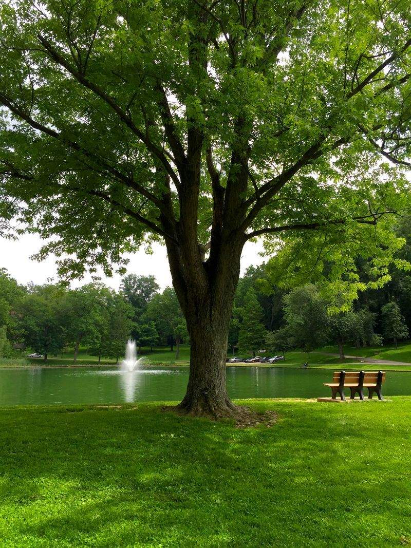 緑のオアシス株式会社 - Image 3